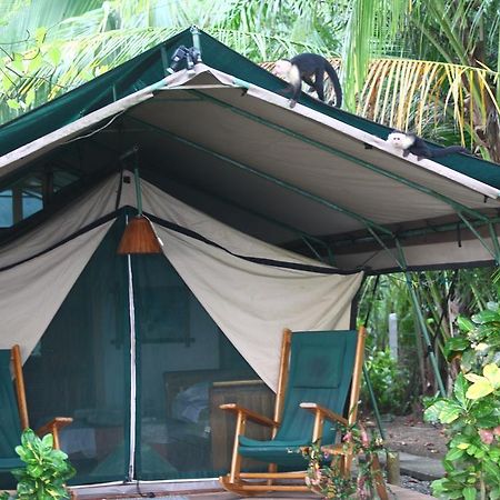 Matapalo  Rafiki Beach Camp المظهر الخارجي الصورة