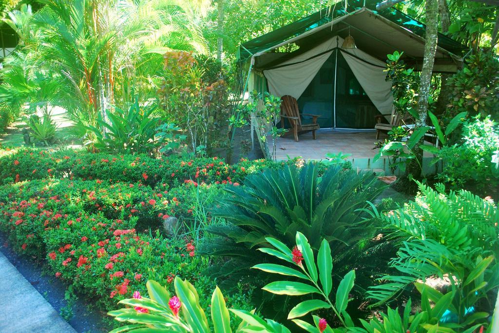 Matapalo  Rafiki Beach Camp الغرفة الصورة