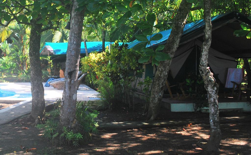 Matapalo  Rafiki Beach Camp الغرفة الصورة