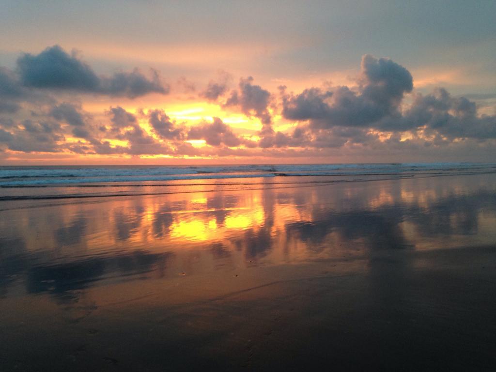 Matapalo  Rafiki Beach Camp الغرفة الصورة
