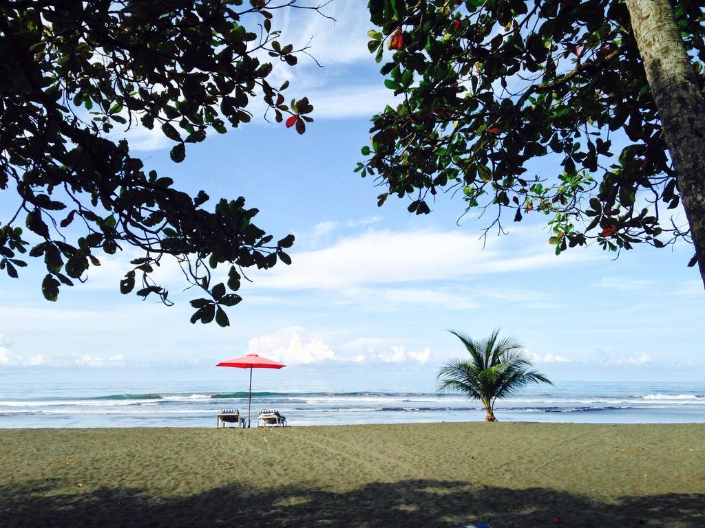 Matapalo  Rafiki Beach Camp الغرفة الصورة