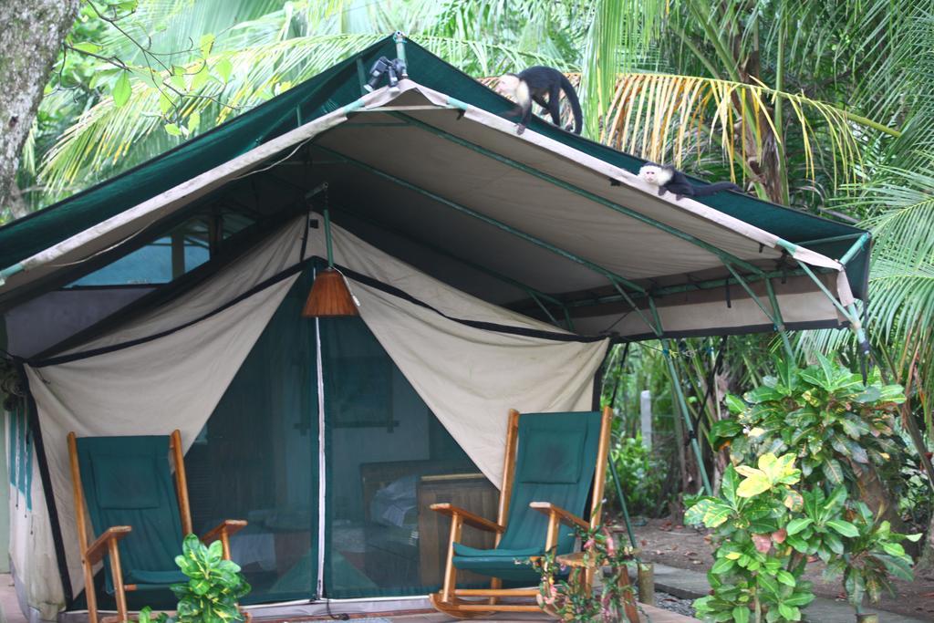 Matapalo  Rafiki Beach Camp المظهر الخارجي الصورة
