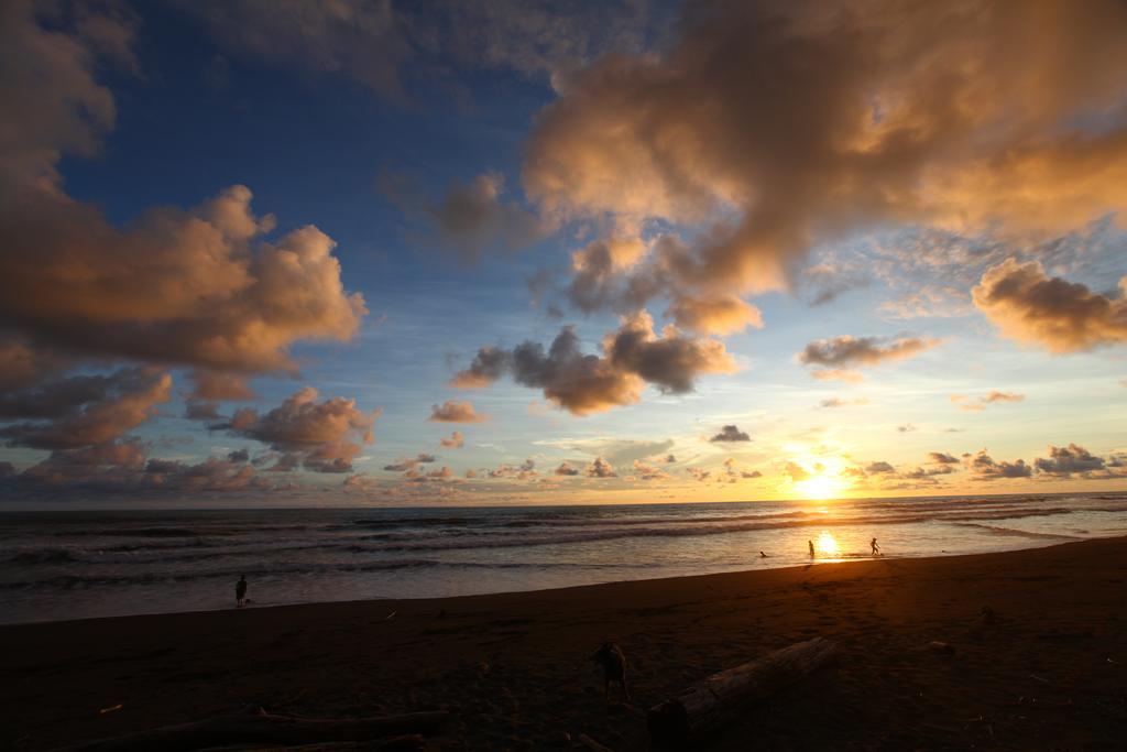 Matapalo  Rafiki Beach Camp المظهر الخارجي الصورة