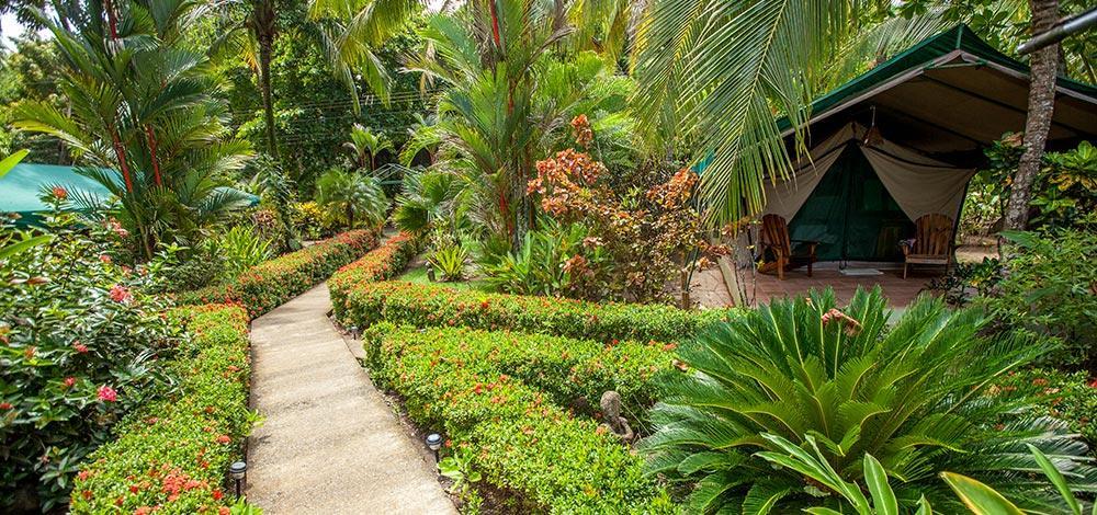 Matapalo  Rafiki Beach Camp المظهر الخارجي الصورة